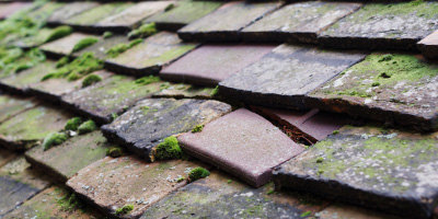Dwyran roof repair costs